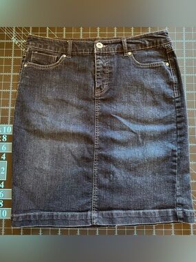 Style & Co Dark wash jean skirt Sz 10